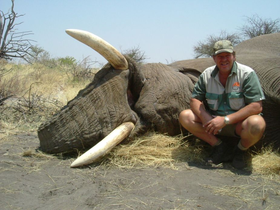 Elephant Trophy Namibia