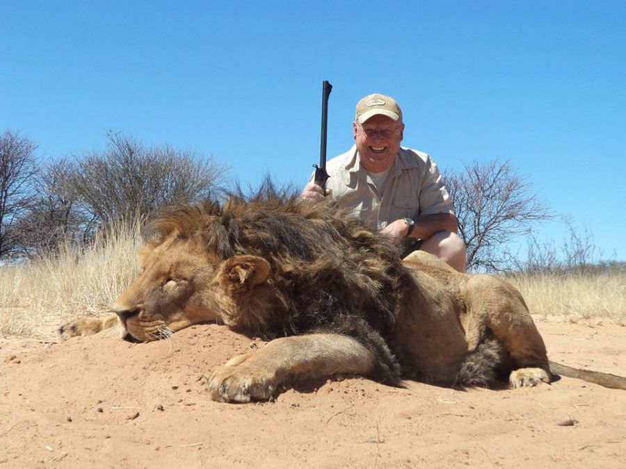 Lion hunting Namibia